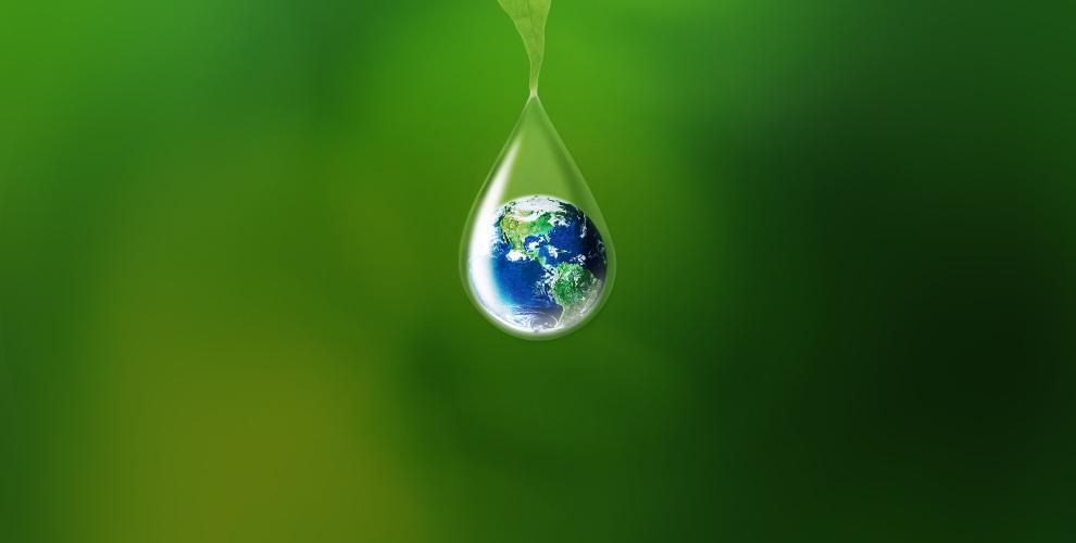 (c) Phytofarinstituut.be